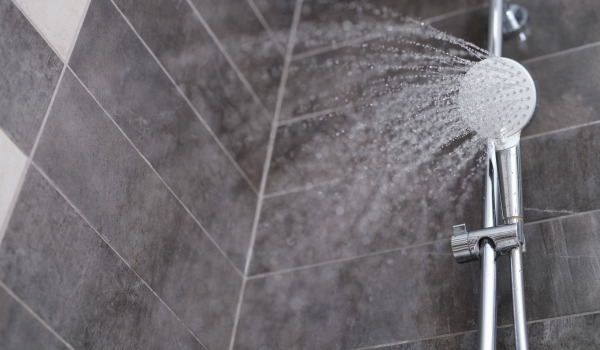 Kako izbrati držala za prho?