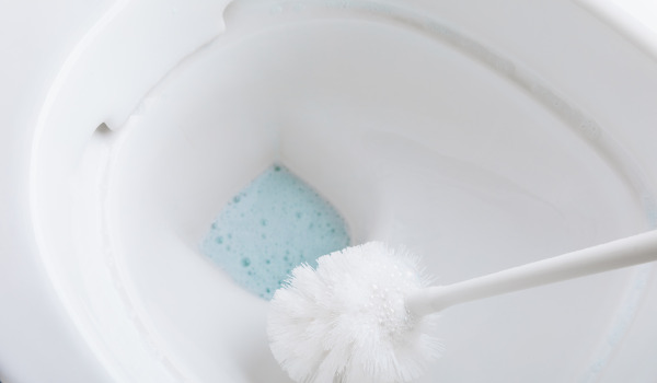 Kako skrbeti za WC ščetko?