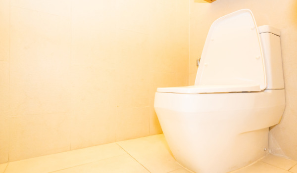 Katero podometno enoto za WC izbrati?