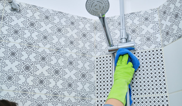 Kako očistiti tuš cev in ročno prho?