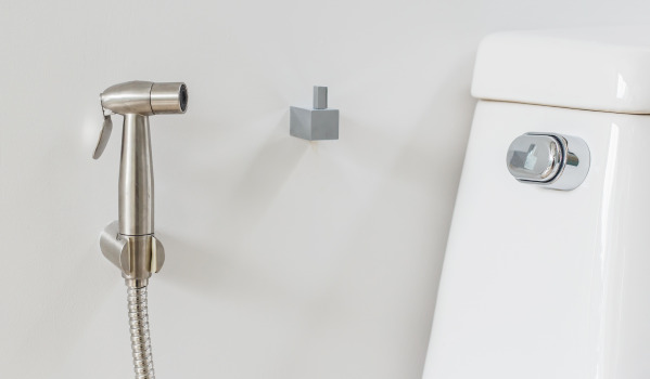 Kako izbrati bidetno ročico?